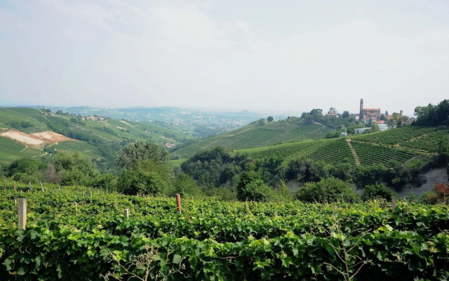The Grape Pergola House