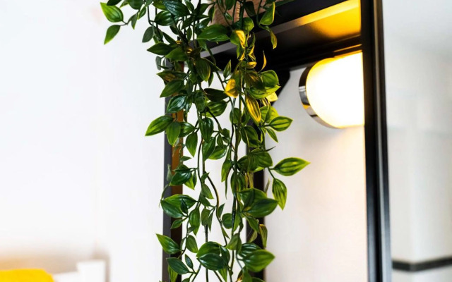 Spacious Apartment in urban location