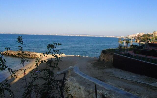 Marina Fort Noks Studio