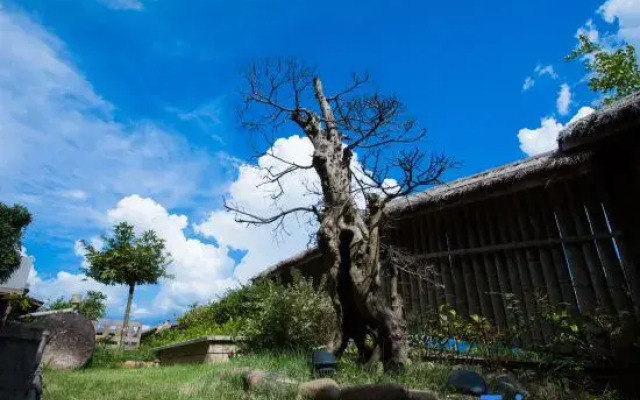Wuyi Mountain Tea Yinshanfang (Wuyi Mountain Scenic Area Lantangqiao Branch)