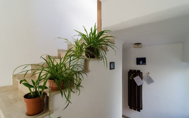 Apartments Palma