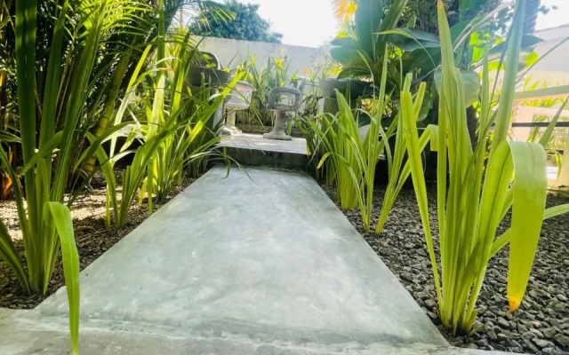 Bougain Villa Sea View