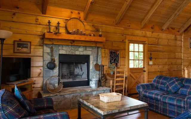 Juve Cabin