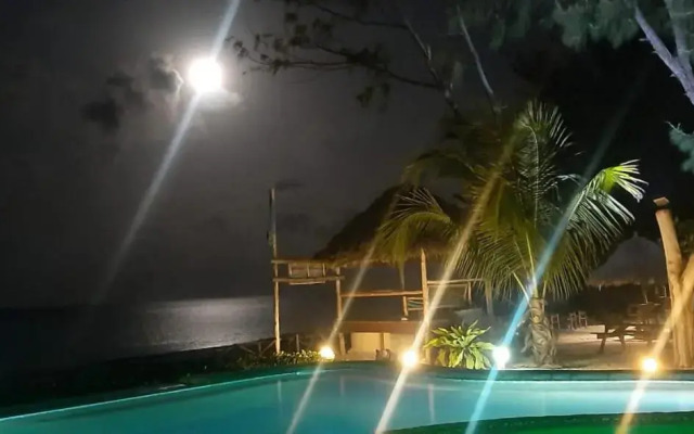Driftwood Beach Lodge