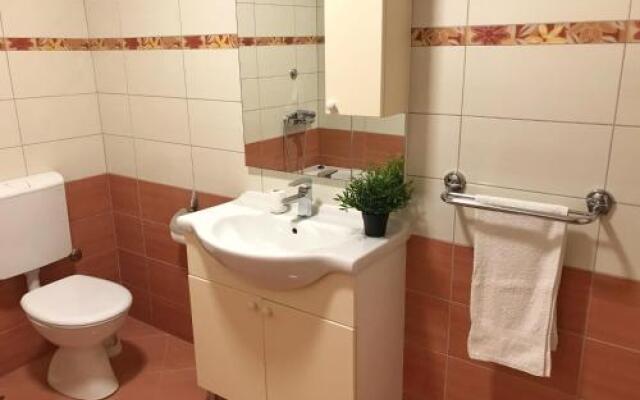 Apartment Antiša