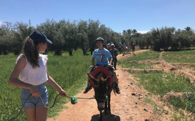 Ecolodge - La Palmeraie