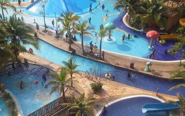 Marose Gold Coast Morib