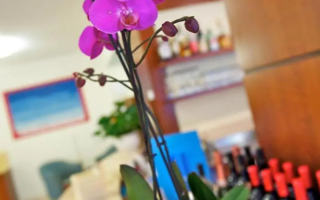 Hotel Garni Orchidea