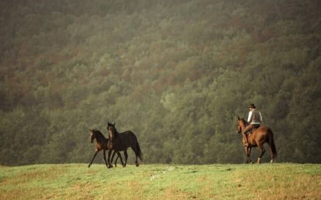 Agriturismo La Rocca Dei Briganti