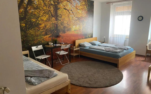 Apartment Spolkova