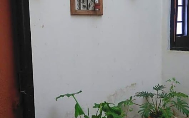 Cabaña Tierra Morena