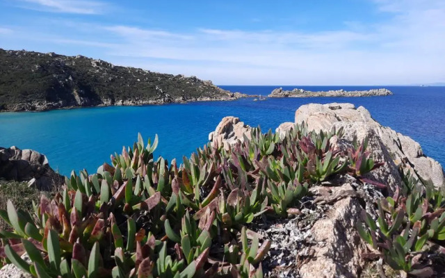Mare 1