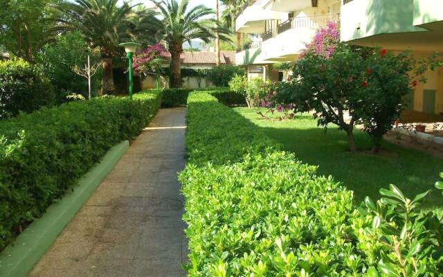 Gardenias-romas-la Safor o Similar