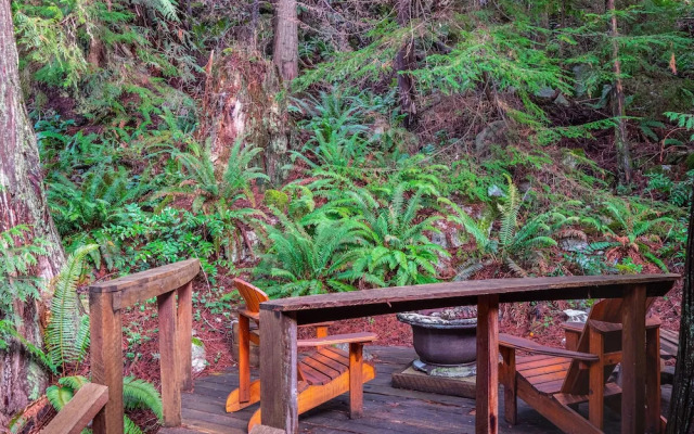 The Tree House Cottage