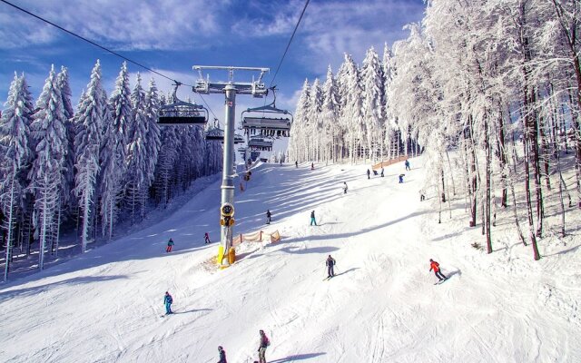 Modern Apartment on a 10-minute Walk From Winterberg