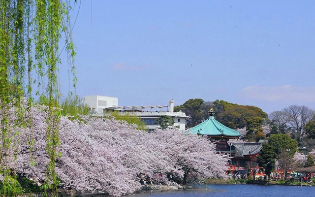 Hotel MyStays Ueno Iriyaguchi