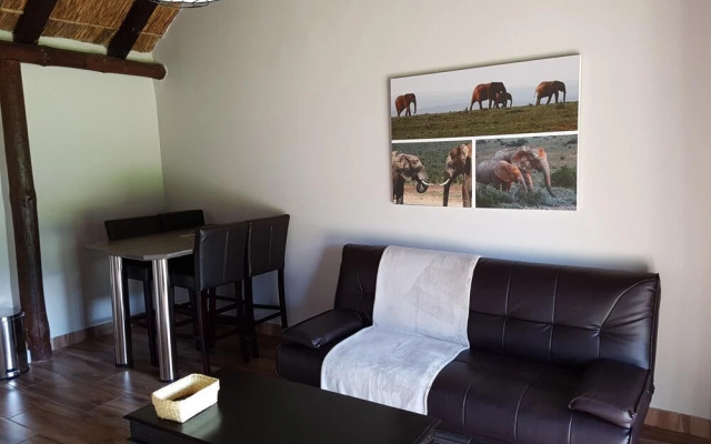 Addo Wildlife