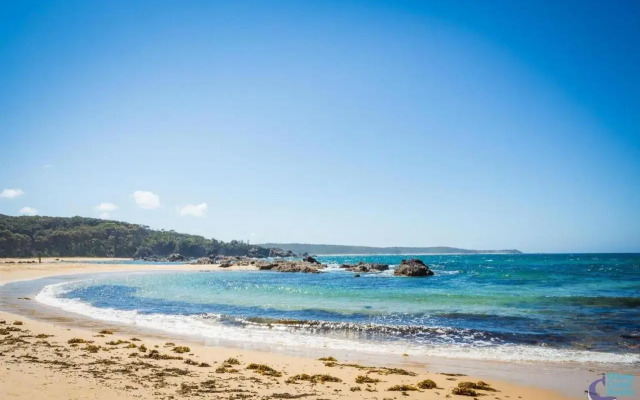 Cherrybush @ Mystery Bay