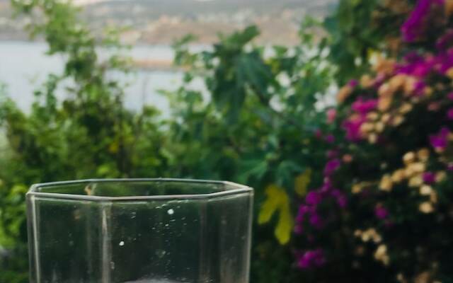 Daskalio Resort Adamis