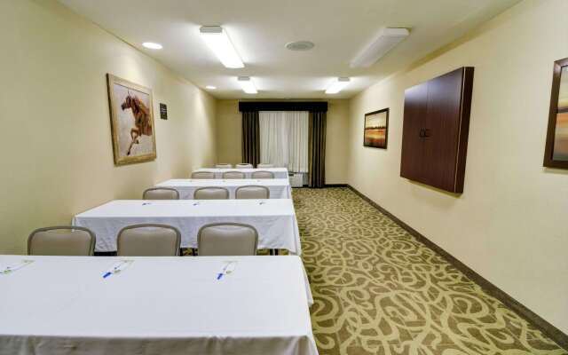 Comfort Inn & Suites Amarillo West near Medical Center