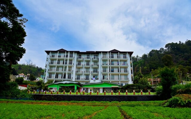 Homewood Luxury Apartment
