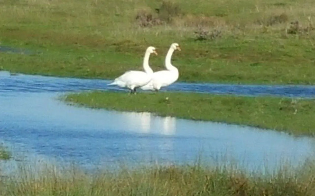 Hôtel Inn Design Rochefort Resto Novo