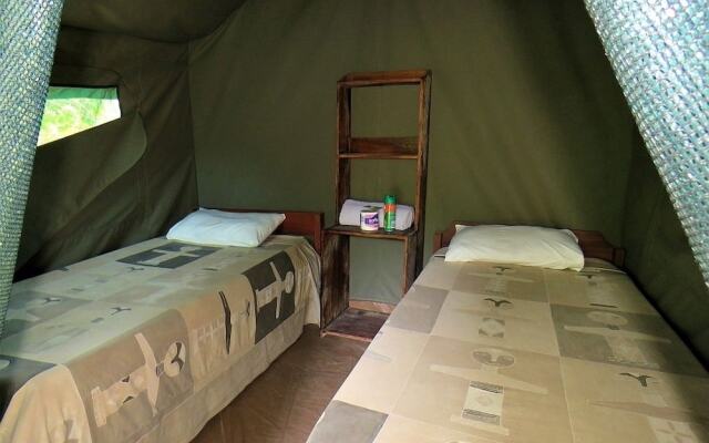 Croc Valley Camp