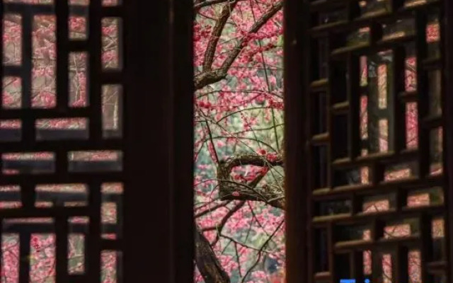 Shankee Tea Style Zhixiang Hotel (Huzhou Zhuangyuan Street Yishang Street)