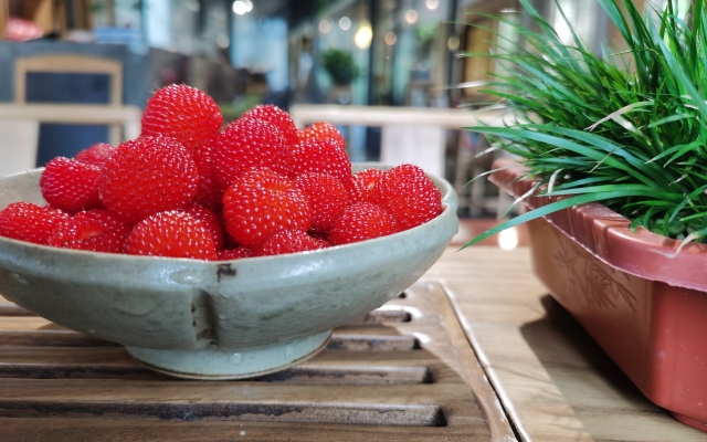 Floral Hotel·Nanjing Youjianshan Homestay (Ginkgo Lake)