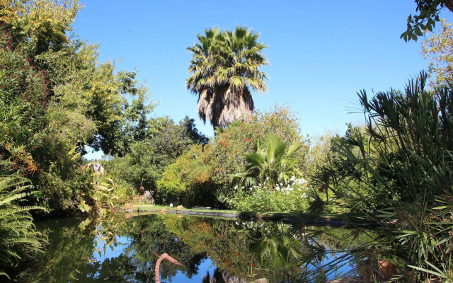 Southern Cross Guest House