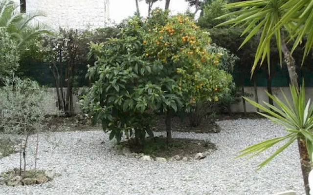 Welcome to Cannes - San Remo