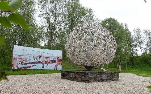 Wild Caribou Dome