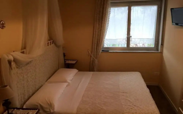 B&B Xenia