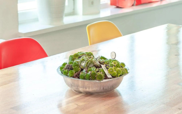 Architektenwohnungen mit Panoramablick bei Köln