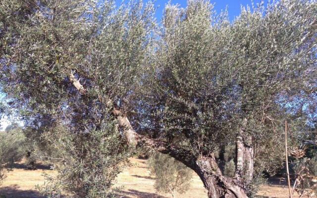 B&B Le buche Casa storica