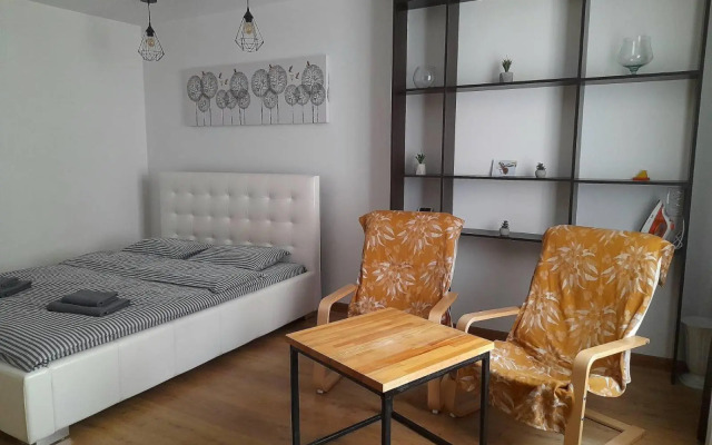 Apartment on Virmenska 13