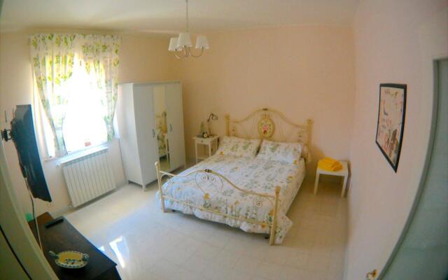 B&B Vigna del Duca