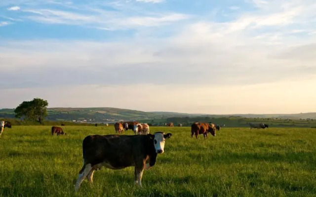 The Glen Country House