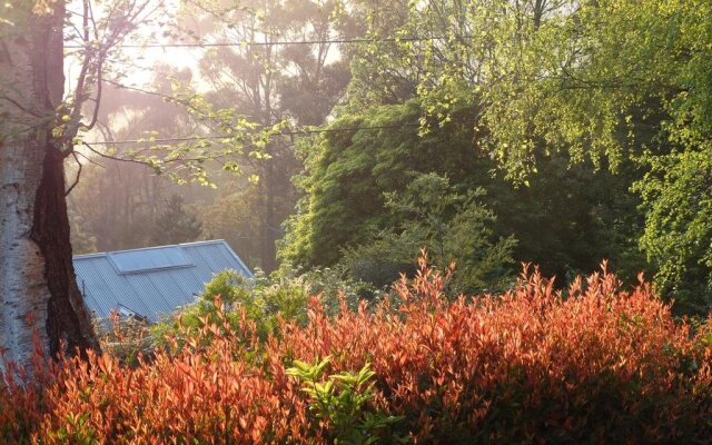 Billy Buttons Bed and Breakfast