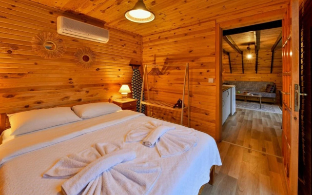 Tiny House With Private Pool Close to Lycian Way