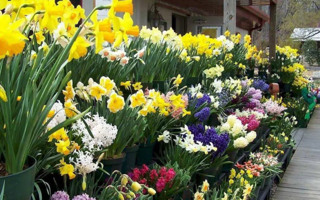 Hampton Inn Gloucester