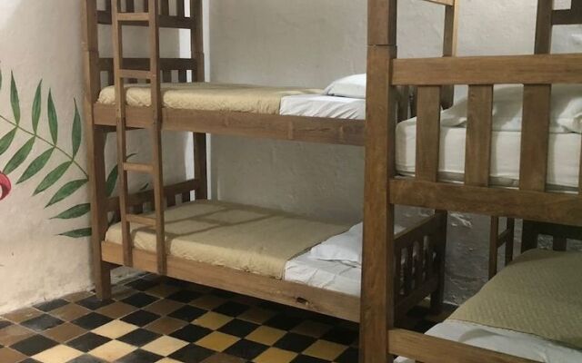 Hostel Green House Coffee Bar