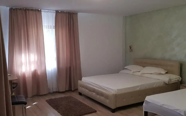 Pensiunea Magnolia din Tismana