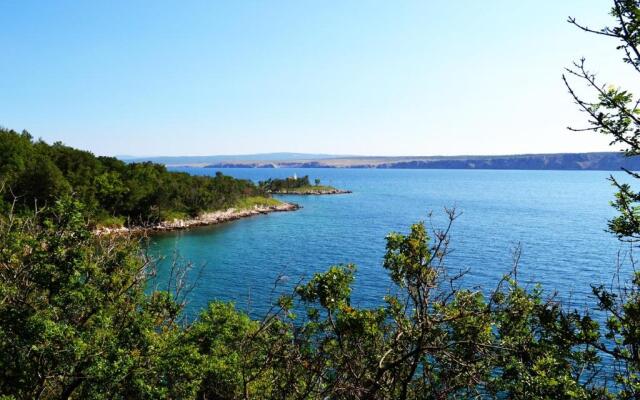 Apartment Knežević 2