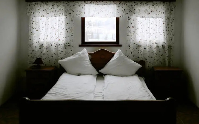 Vintazh Otel Surikova