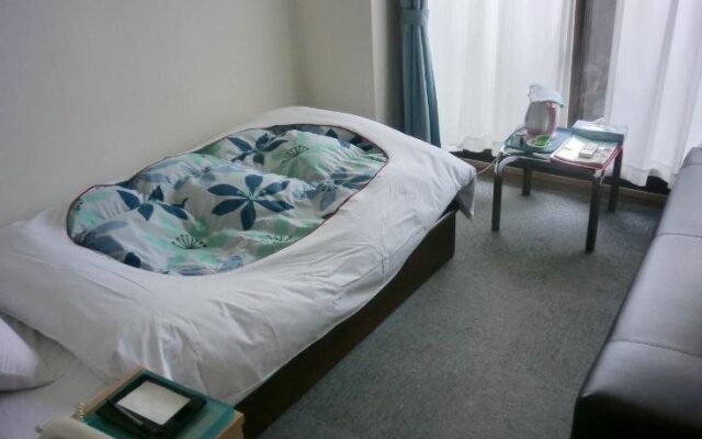 Business Hotel Nishiotsu