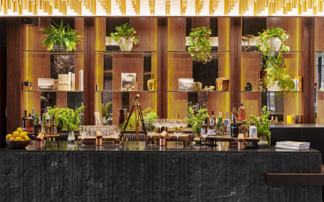 Thompson Madrid, by Hyatt