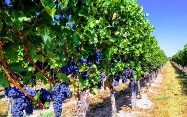 Privatwohnung Rybczynski