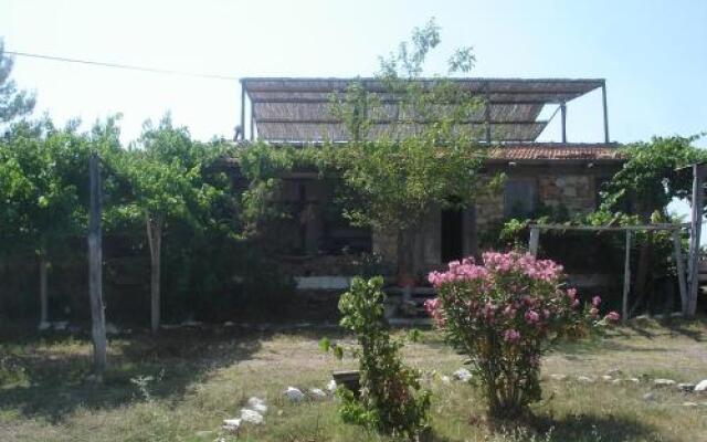 Gokpinar Country Home