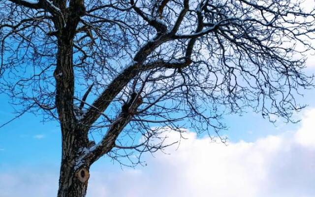 Paradise Apartments Paganella